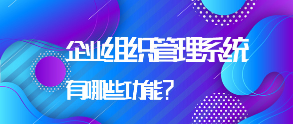 組織管理系統的功能