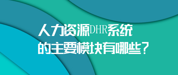 DHR系統的主要模塊