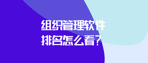 組織管理軟件排名