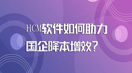 HCM軟件如何