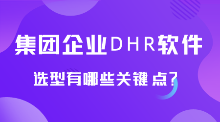 集團企業DHR軟件選型.png