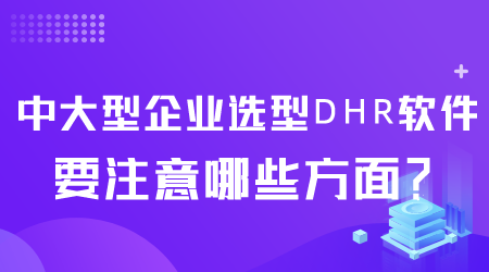 中大型企業選型DHR軟件.png